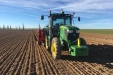 Plantando_patatas_salamanca-03