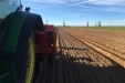 Plantando_patatas_salamanca-04
