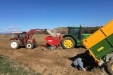 Plantando_patatas_salamanca-09