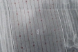 plantar-pistachos-15