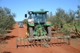 PodaOlivos35