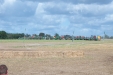 100_8401