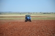 NewHollandT5.115ElectroCommand-13