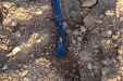 RiegoPorGoteoDelAjo-07