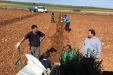 PlantacionOlivar_riegoDeImplantacion-17