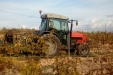 Frutteto_Active-Drive-09
