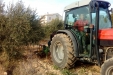Frutteto_Active-Drive-13