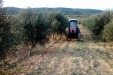 Frutteto_Active-Drive-14