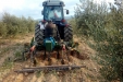 Frutteto_Active-Drive-16