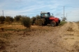 Frutteto_Active-Drive-17
