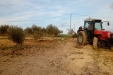 Frutteto_Active-Drive-18