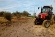 Frutteto_Active-Drive-19