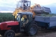 Frutteto_Active-Drive-25