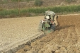 Frutteto_Active-Drive-27