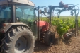 Frutteto_Active-Drive-32