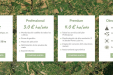 SatAgro11