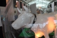 SIMA2015-112