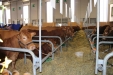 SIMA2015-140
