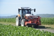 Steyr_Traktoren-126