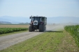 Steyr_Traktoren-128