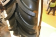 Foto-6-Diseño-garras-Vredestein