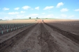 PlantandoVid01