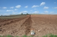 PlantandoVid03