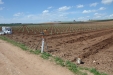 PlantandoVid04