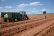 PlantandoVid06