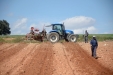 PlantandoVid07