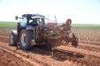 PlantandoVid08