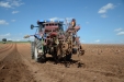 PlantandoVid12
