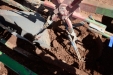 PlantandoVid19