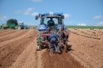 PlantandoVid21