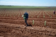 PlantandoVid23