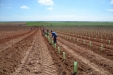 PlantandoVid30