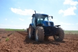 PlantandoVid32