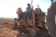 PlantandoVid33