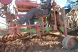 PlantandoVid34