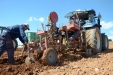 PlantandoVid35