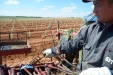 PlantandoVid36