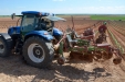 PlantandoVid41