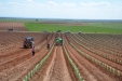 PlantandoVid42