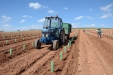 PlantandoVid44