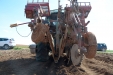 PlantandoVid46