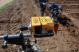 PlantandoVid52