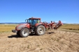 HorschTerrano4FX-03