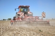 HorschTerrano4FX-28
