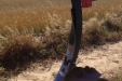 HorschTerrano4FX-59