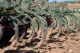 SurcarGirasoles-03